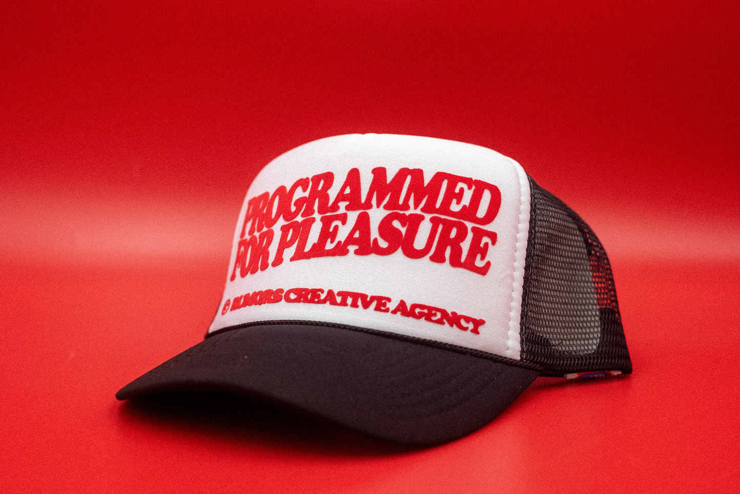 The "Programmed For Pleasure" Funny Trucker Hat