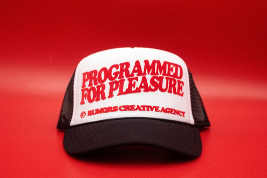 The "Programmed For Pleasure" Funny Trucker Hat